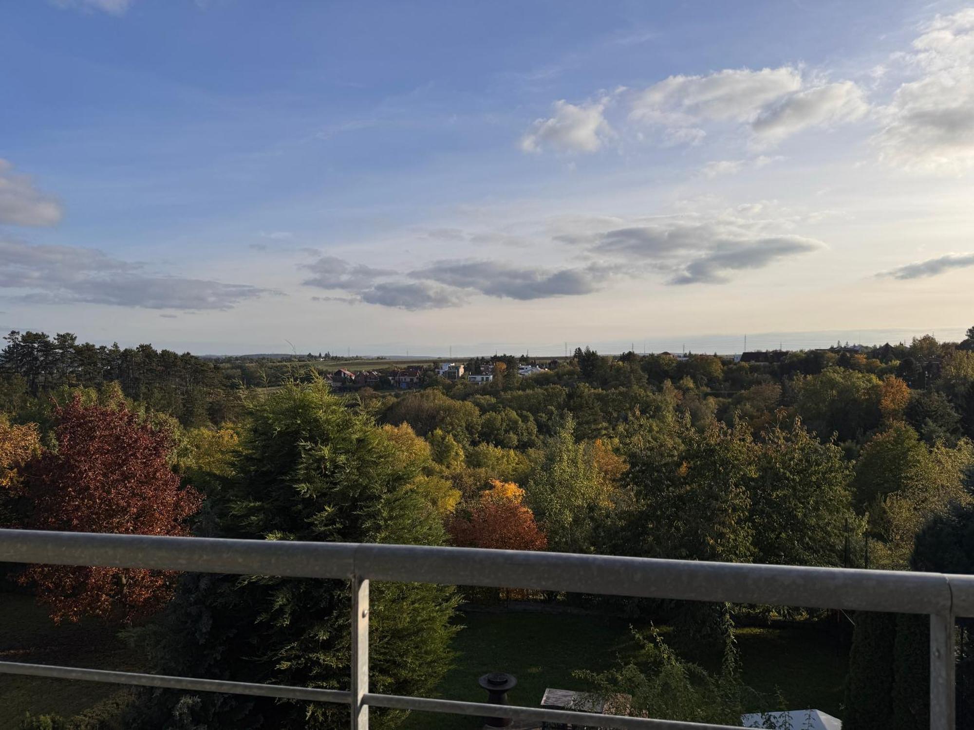 Diamondvilla, 4 Bedroom Apartment, Garden & Spa Prag Exteriör bild